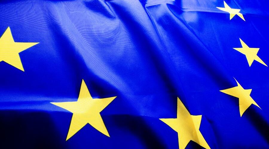 Na Kogo Głosowali Bitcoinersi?