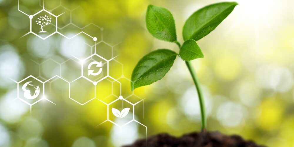 Czy brakuje nam rodzimych ekspertów w kwestii wykorzystania technologii Blockchain?