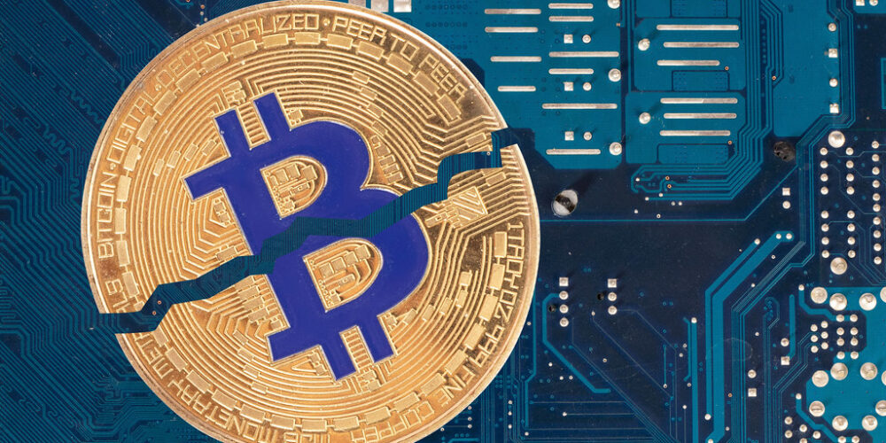 Halving za nami! AI pomoże ratować zwierzęta. Podsumowanie tygodnia #518